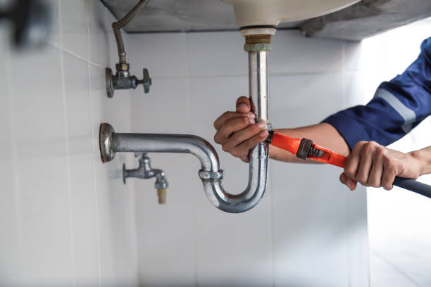 Best Local Plumber Services  in Trenton, TN
